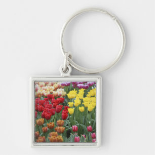 Chaveiro Países Baixos, Jardins Keukenhoff, tulipas.