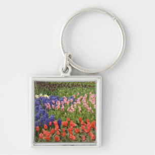 Chaveiro Países Baixos (também conhecido como Holanda), Lis