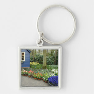 Chaveiro Países Baixos (também conhecido por Holland), Li