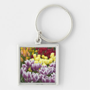 Chaveiro Países Baixos (também conhecido por Holland), Li