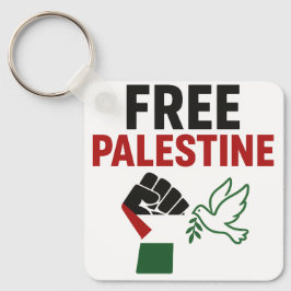 Chaveiro palasfina livre