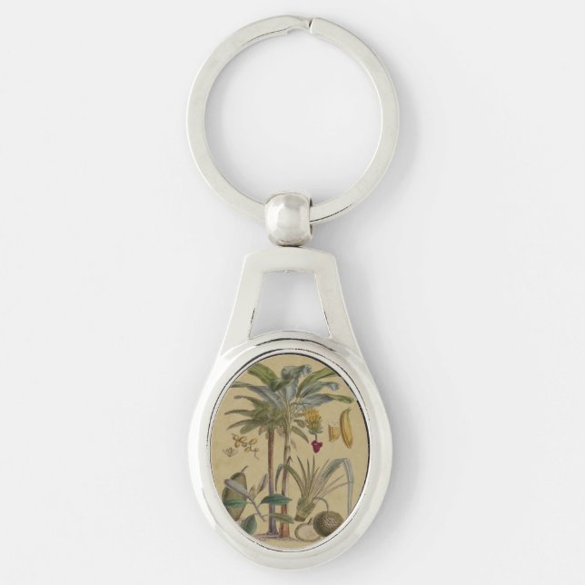 Chaveiro Palm Antique Fruta Tropical Arte Botânica (Frente)