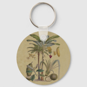 Chaveiro Palm Antique Fruta Tropical Arte Botânica