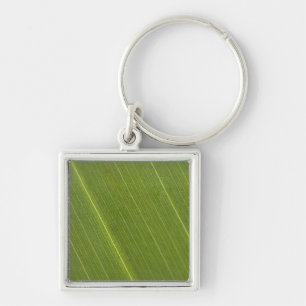 Chaveiro Palm Tree Leaf