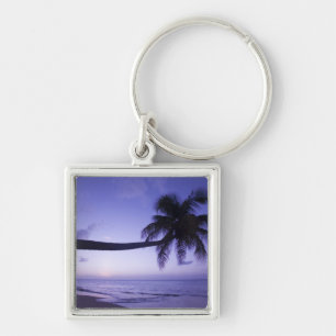 Chaveiro Palmeira solitária ao pôr do sol, praia Coconut Gr