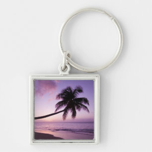 Chaveiro Palmeira solitária ao pôr do sol, praia de Coconut