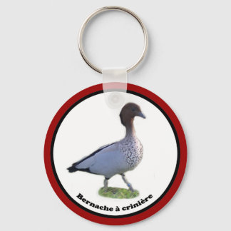 Chaveiro palmipèdes d'ornement (bernache à criniè)