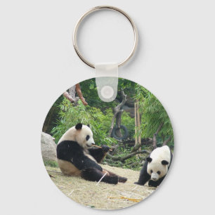 Chaveiro Panda gigante em uma fotografia de zoológico de an