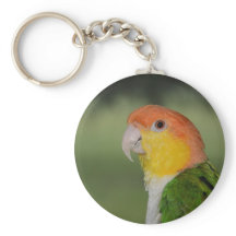 Papagaio Caique Branco Abaixo ao ar livre