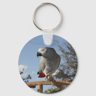 Chaveiro Papagaio-Cinza africano espantoso