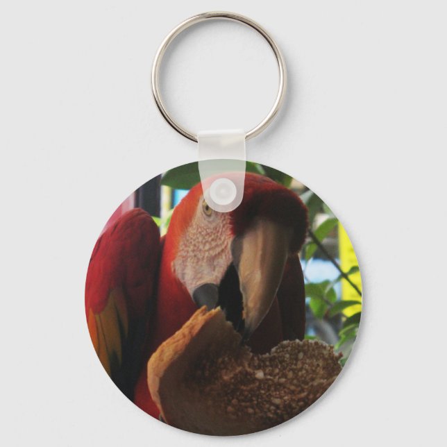 Chaveiro Papagaio-De-Maca-Escarlate Comendo Sorrada (Frente)