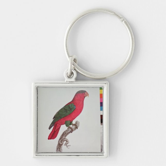 Chaveiro Papagaio: Lory ou colocado um colar (Frente)