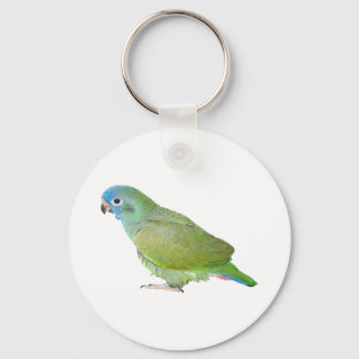 Chaveiro Papagaio Pionus Cabeça Azul