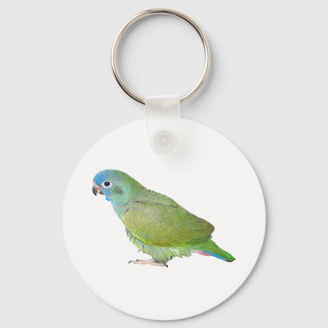 Chaveiro Papagaio Pionus Cabeça Azul (Frente)