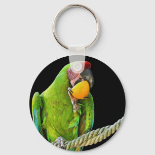 Chaveiro Papagaio Verde Ara Militaris