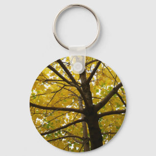Chaveiro Par da Natureza do Outono das Árvores Amarelas do 