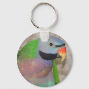 Chaveiro Parakeet de Moustached