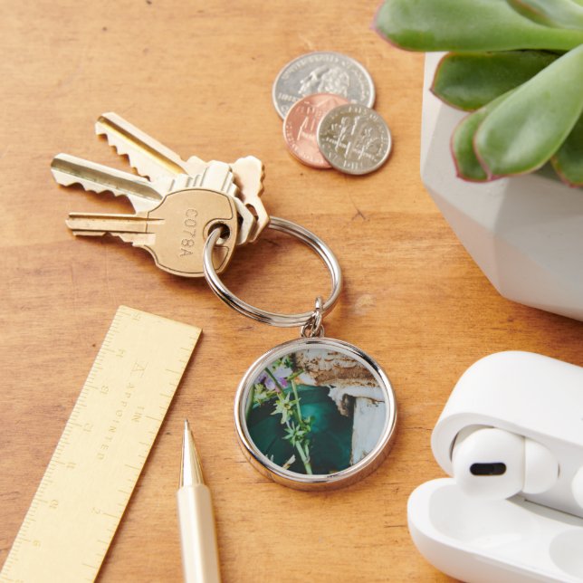 Chaveiro Parasol mushroom, Swedish Archipelago, Sweden (Mesa)