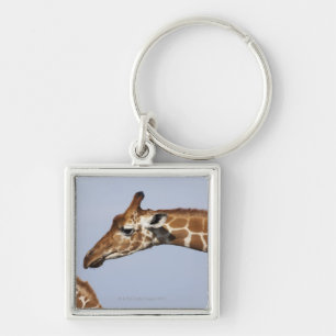 Chaveiro Pares de girafas Reticulated (Giraffa