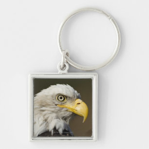 Chaveiro Parque nacional de Katmai, Alaska