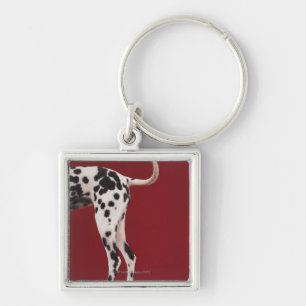 Chaveiro Parte traseira do Dalmatian