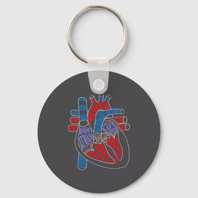 Chaveiro Parts Of Heart Anatomical Heart Gift For Cardiolog (Frente)