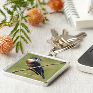 Chaveiro Pássaro Atuneiro Belga Atormentado num Limbo