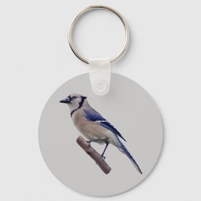 Chaveiro Pássaro azul-jay (Frente)