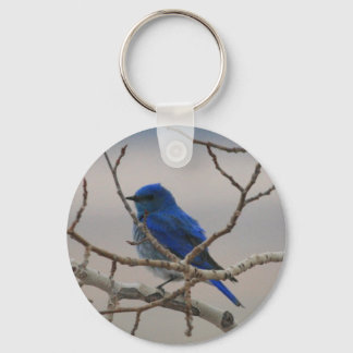 Chaveiro Pássaro Azul-Montanha