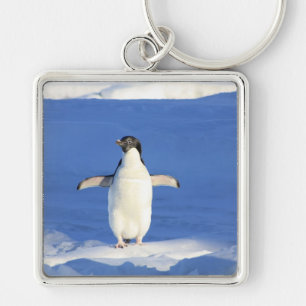 Chaveiro Pássaro Pinguim Pena Preta Branco Personalizar No