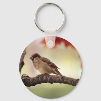 Chaveiro Pássaro Sparrow na árvore
