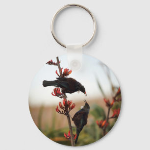 Chaveiro Pássaros de Tui no arbusto do linho de Nova