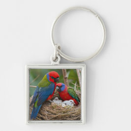 Chaveiro Pássaros Rosella