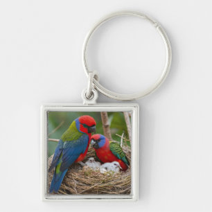 Chaveiro Pássaros Rosella