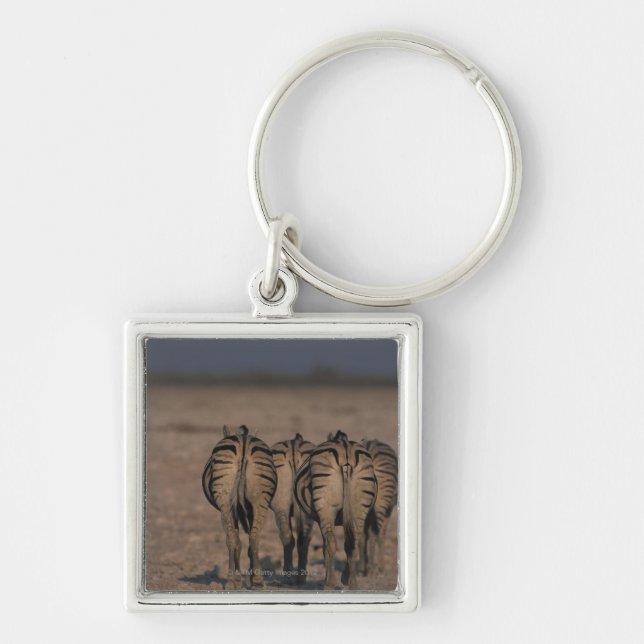 Chaveiro Passeio das zebras de Burchell (Frente)