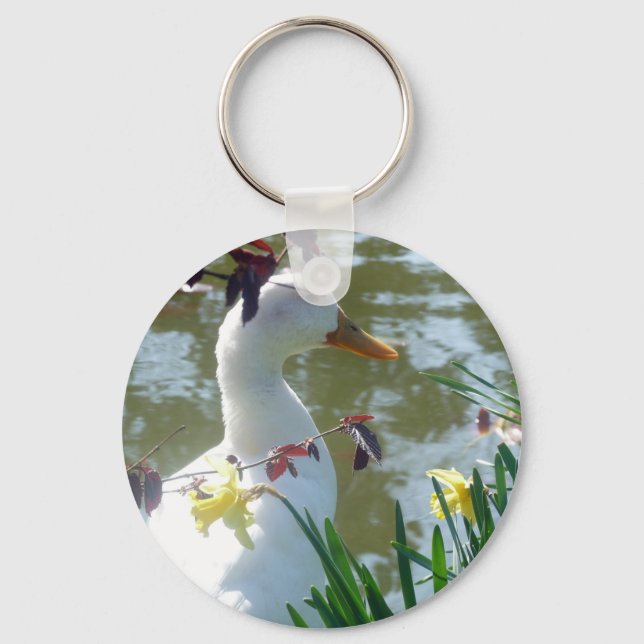 Chaveiro Pato Branco Em Daffodils Por Lake Keyring (Frente)
