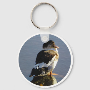 Chaveiro Pato CHAVE de Corrente-Muscovy