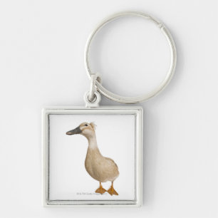 Chaveiro Pato com crista fêmea, 3 anos velho