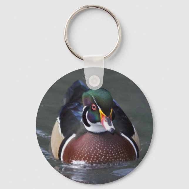 Chaveiro Pato-de-madeira Americano (Frente)
