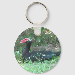 Chaveiro Pato de Muscovy