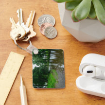 Peaceful River Elwy Shores in St. Asaph