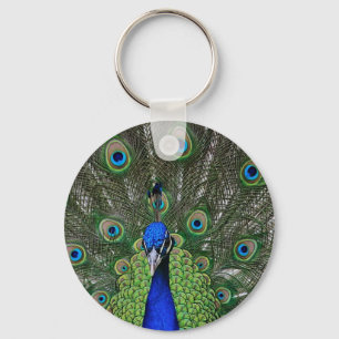 Chaveiro Peacock