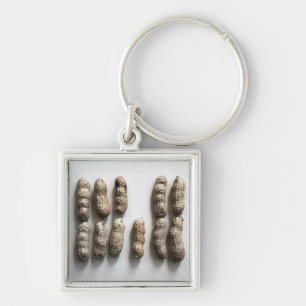 Chaveiro Peanuts Ainda Vida Fotografia De Arte Bela