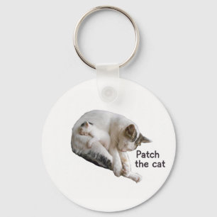 CHAVEIRO PEGUE O GATO E O COLO DELA