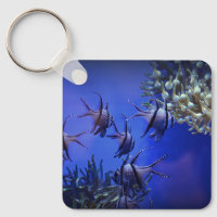 Peixe-anjo preto e branco no mar azul profundo