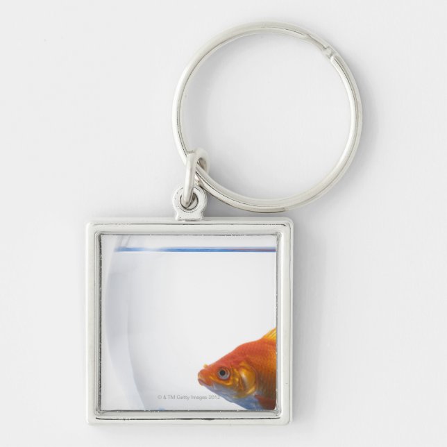 Chaveiro Peixe dourado na bacia no fundo branco (Frente)