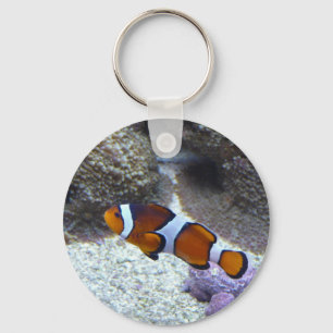 Chaveiro peixes do palhaço