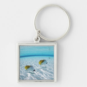 Chaveiro Peixes no mar 2