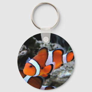 Chaveiro Peixes tropicais