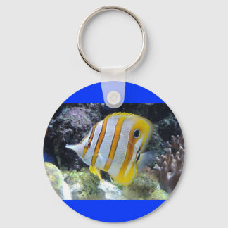 Chaveiro Peixes Tropicais